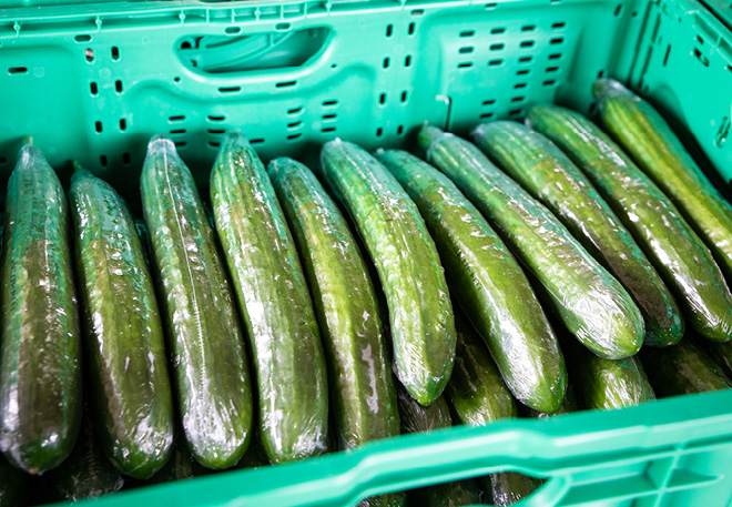 Waarom zit er nog steeds folie om een komkommer? - Parel Keukens